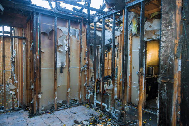 Professional Smoke Damage Removal technician working in Snoqualmie, WA