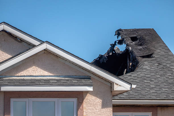 Top rated local Smoke Damage Removal specialists in Snoqualmie, WA